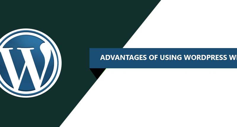 Advantages of Using WordPress Website -tihalt technologies