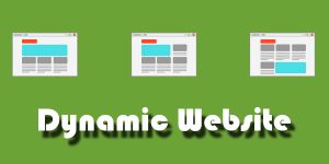 Dynamic Websites